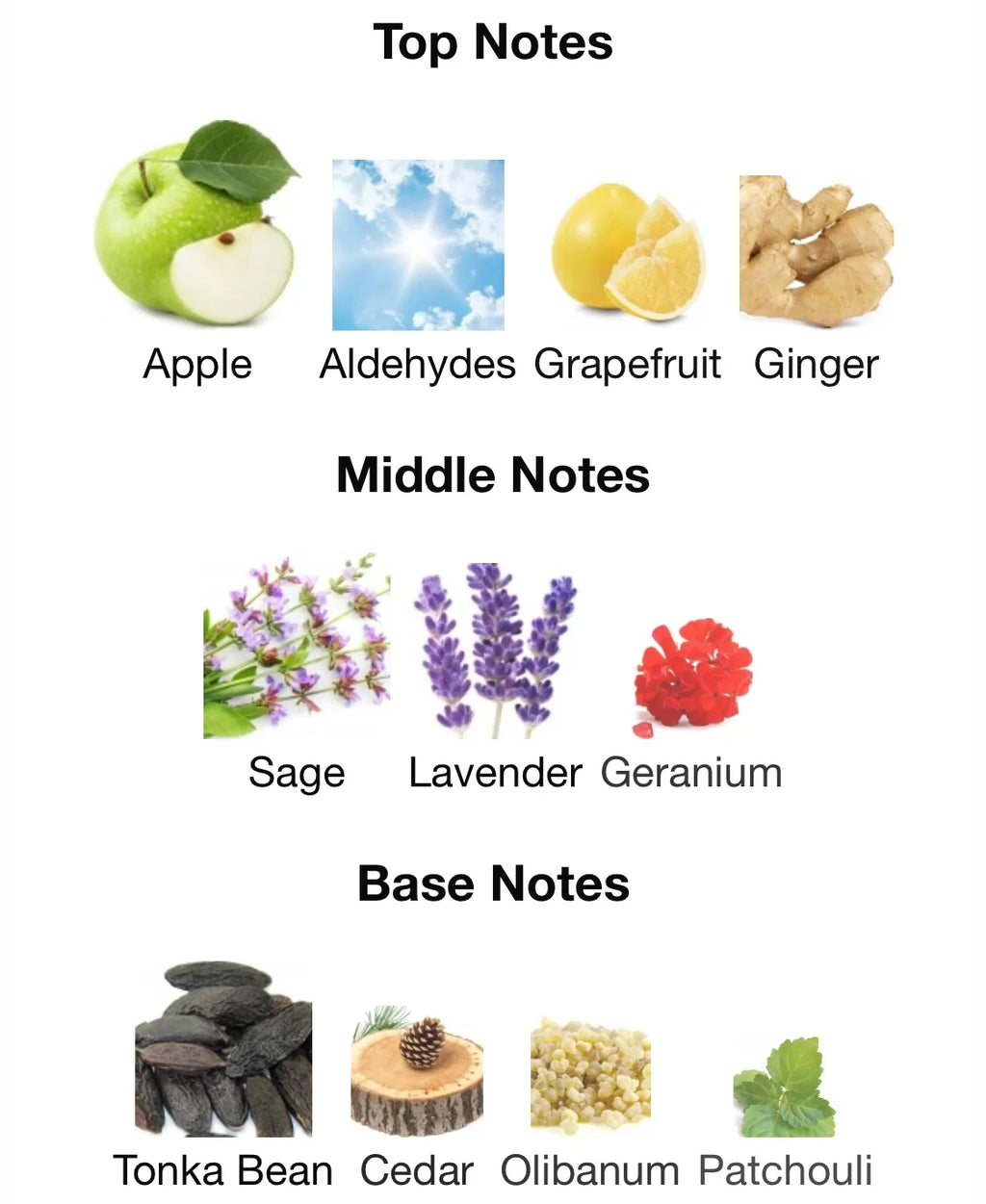 Y EAU DE PARFUM YVES SAINT LAURENT 10ml