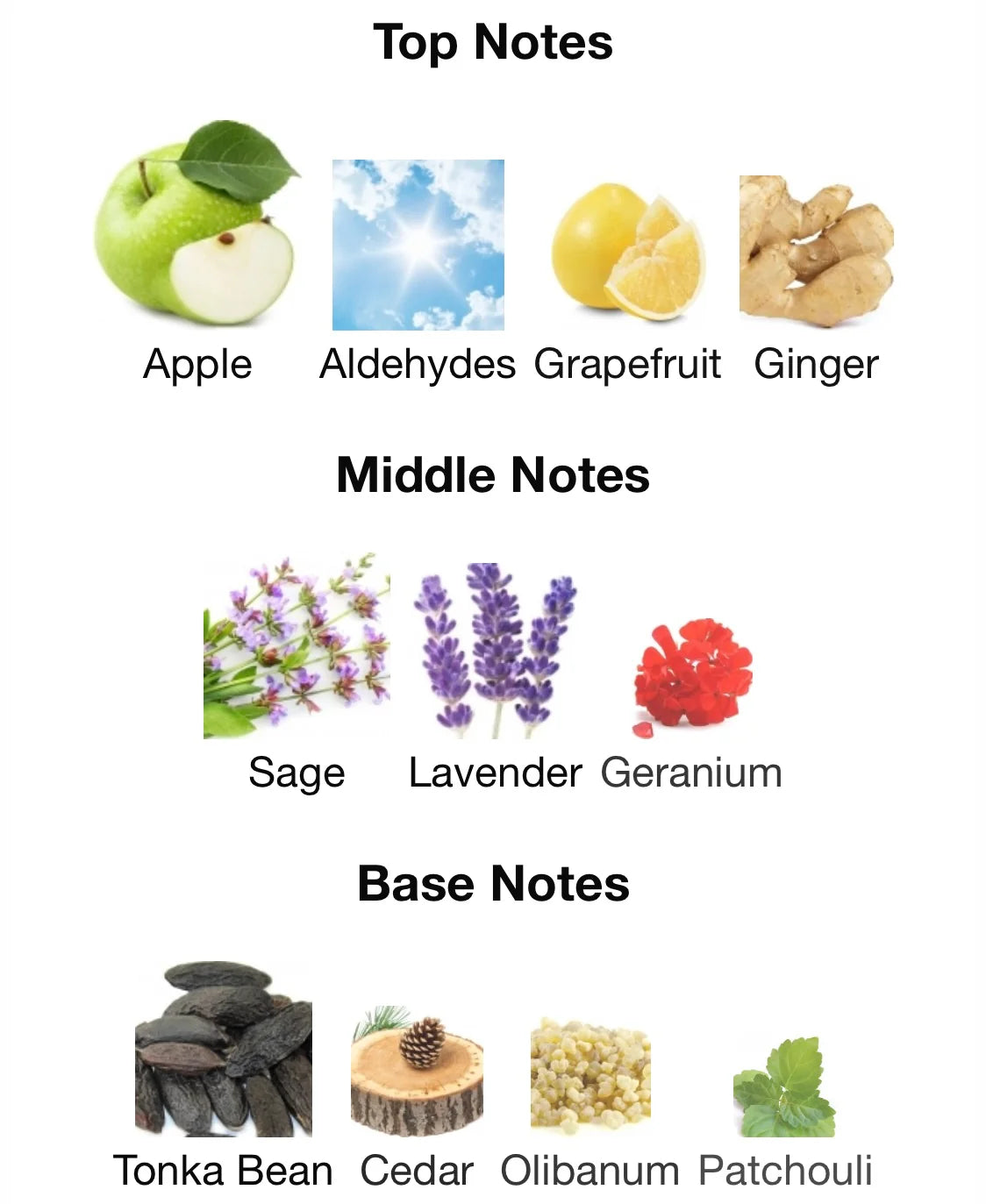 Y EAU DE PARFUM YVES SAINT LAURENT 10ml